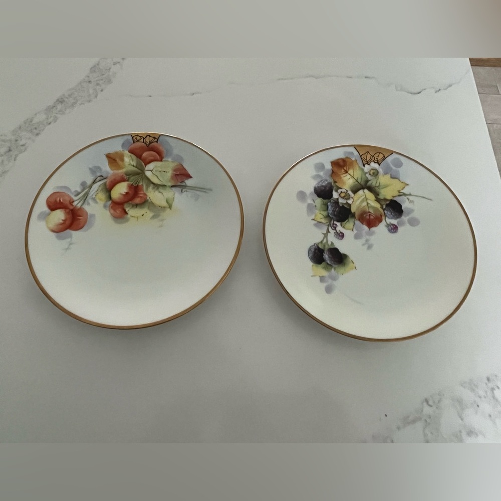 Two beautiful classic Bavaria China 6.75” plates.  Fruit with gold trim.